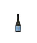 2110000039226_1008_1_wsm_sekt_-_sauvignon_blanc_x_welschriesling_sekt_4a525290.jpg