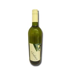 2110000015183_313_1_chardonnay_65ab42ec.jpg