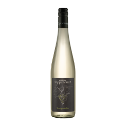 SOUVIGNIER GRIS